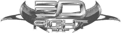 3DFight